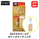 【 送料無料 】 PROSTAFF CCグロスゴールドホイールコーティング ホイールタイヤケア S128 KSB-J