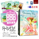 【専用日本語解説書】 ドリーミング ウェイ ルノルマン ユーエスゲームス 36枚 占い 小さい 正規品 Dreaming Way Lenormand フォーチュンカード タロット オラクル ルノルマン