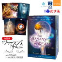 【英語版】 ザ シャーマンズ ドリーム オラクル ヘイハウス 64枚 占い コレット バロン リード 正規品 The Shaman's Dream Oracle フォーチュンカード タロット オラクル ルノルマン