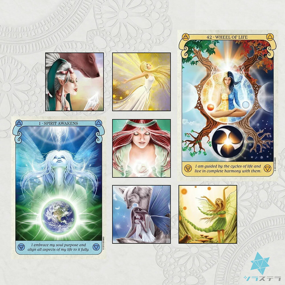 Dragon Shield [ドラゴン・シールド]　　※ 魔術用品 儀式用品 おまじないグッズ 占いなど 【クーポン対象】【39ショップ】