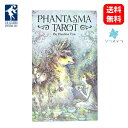 ypŁzt@^Y} ^bg [GXQ[X 78 肢 tH[`J[h Phantasma Tarot