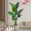 760円OFFクーポン フェイクグリーン 人工観葉植物 大型 タビビトノキ 人工植物 リアルな枝 自然な葉っぱ おしゃれ お祝い 室内 玄関 キッチン リビング オフィス ベランダ 造花 緑 枯れない インテリア 飾り人工観葉樹 gratiahome