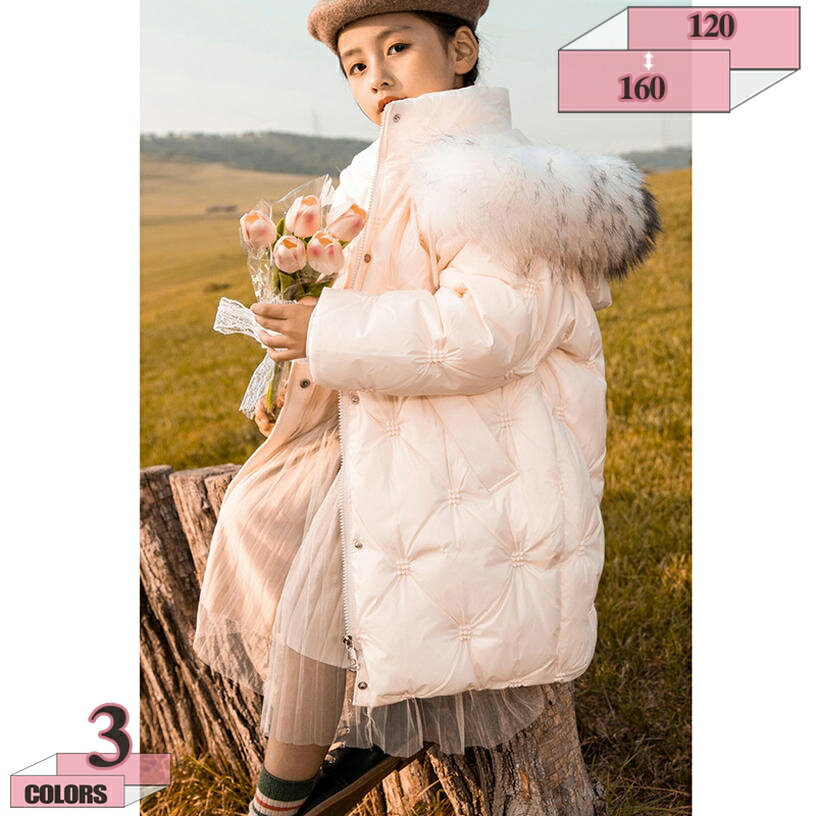 2000OFFݥ 󥳡 ˤλ å ˥ 硼ȥ Ҷ Ҷ Ҥɤ  󥸥㥱å  ɴ 奢 ä...