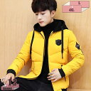 1000円OFFクーポン ダウンジャケット メンズトップス 長袖 無地 ウインドブレーカー 春秋冬服 メンズ フード付き アウター ライナー付き レッド カジュアル 防寒 防風 軽量 大きいサイズ お洒落 防撥水 中綿コート あったか gratiahome