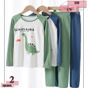 760円OFFクーポン パジャマ キッズ 男の子 綿100 長袖 春 秋 柔らかい ルームウェア 子供 部屋着 上下セット Tシャツ 長ズボン ナイトウェア 丸首 ゆったり 寝巻き ジュニア服 120 130 140 150 160 子供服 男女兼用 ボーイズ ガールズ 肌着 gratiahome