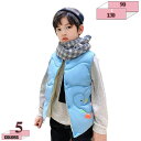 760円OFFクーポン キッズ 中綿ベスト 男女兼用 秋冬 子供服 軽量 保温 防寒 袖なし キッズベスト インナー 可愛い アウター カジュアル 前開き グル...