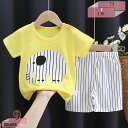 760円OFFクーポン 子供 パジャマ キッズ 猫柄 ルームウェア 上下セット 半袖 綿 子供服 男の子 ベビーパジャマ 女の子 恐竜柄 かわいい 部屋着 夏 半ズボン 寝間着 ボーイズ ガールズ 子供服 幼児服 おしゃれ ねまき 幼稚園 保育園 日常着 gratiahome