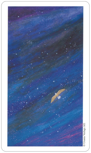 【正規品・直輸入】 ビジョン・クエスト・タロット☆VISION QUEST TAROT☆タロットカード専門店