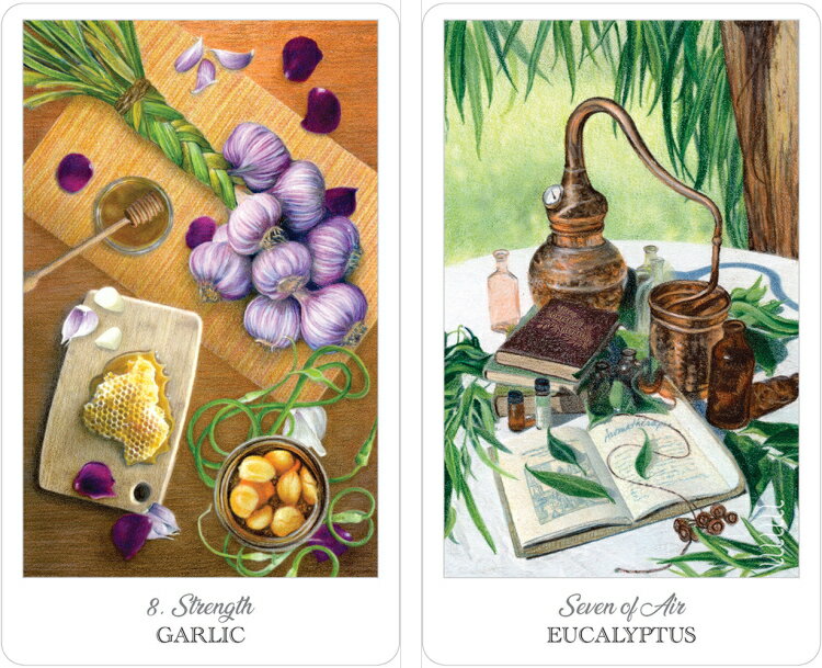 【正規品・直輸入】植物が伝える深いメッセージ☆自然からの贈り物であるハーブがテーマのタロット☆ハーブクラフターズ タロット☆The Herbcrafters Tarot　タロットカード専門店