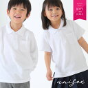 ブラウス キッズ 白 子供 女の子 男の子 半袖 長袖 ポロシャツ シャツ こども 子ども 制服 スクール 学校 小学校 中学校 小学生 中学生 保育園 幼稚園...