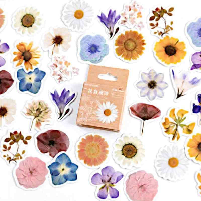 COLORBIRD 押し花 ステッカー 92枚 花 シール スマホケース かわいい 手帳シール スクラップブックステッカー押し花 ステッカー 23種類46枚x2セット（計92枚）裏面はシールになっています。身近な自然を感じる 押し花をもっと身近にもっとカンタンにお気に入りのものを手軽にセンスアップできます。スマホケースに挟んで可愛くスマホをアレンジ　その他パーソナルグッズを自分流にスクラップブック、スケジュール帳、日記、手紙、メッセージカード、フォトスタンドなどに添えて華やかに彩れたり、心に残るお便りになります。【サイズ】各シール縦横3～4cm　【セット内容】23種類46枚x2セット（計92枚）　【素材】プリントシール　裏面はシールになっています。　【対象年齢】3歳以上（小さなお子様は大人の監督のもとでご使用ください）