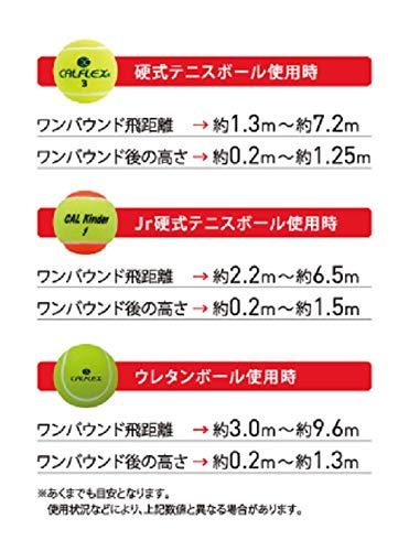 サクライ貿易(SAKURAI) CALFLEX(カルフレックス) テニス 硬式 ボール ステージ1 イ...