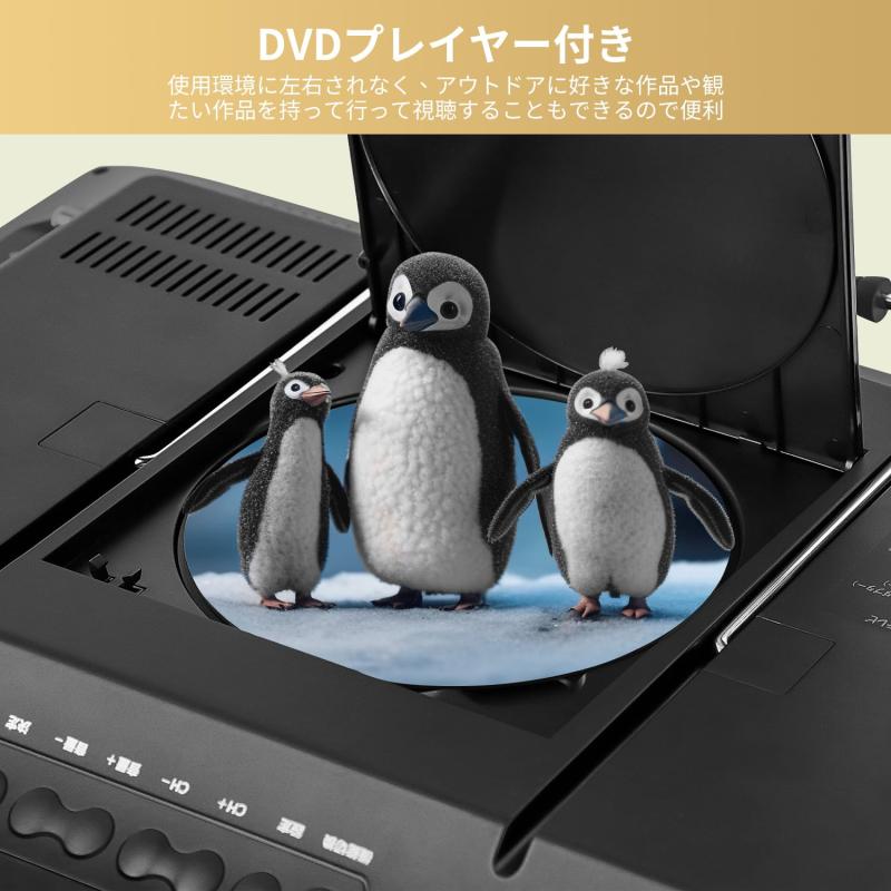 【中古】パナソニック 10V型 液晶 テレビ プライベート・ビエラ UN-10T5-K HDDレコーダー付 2015年モデル