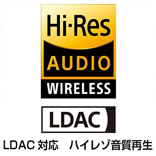 テクニクス カナル型 ノイズキャンセリング 完全ワイヤレスイヤホン Bluetooth マルチポイント対応 LDAC対応 ハイレゾ音質再生 gravity-2024-10042118 パグハグ サンプル画像3