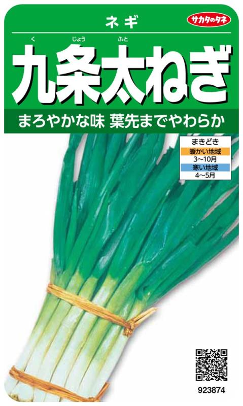 乐天商城 - サカタのタネ 実咲野菜3874 九条太ねぎ ネギ 00923874