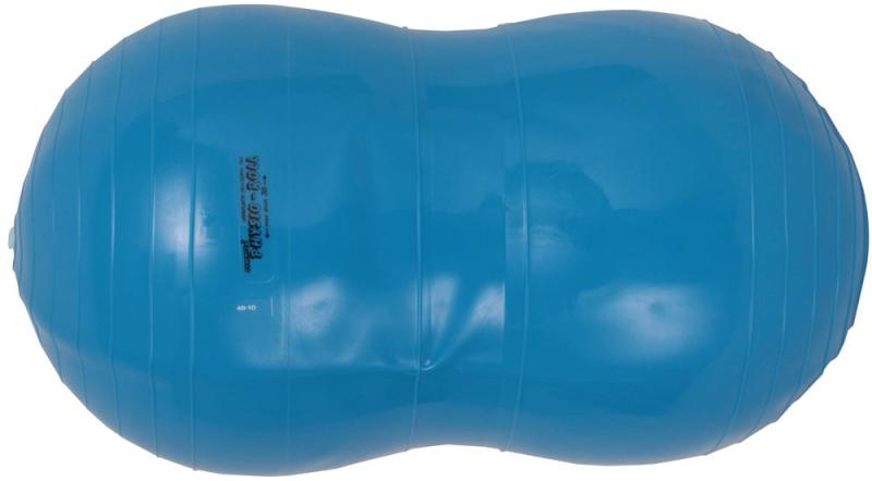 ダンノ(DANNO) バランスボール フィジオロール