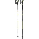レキ(LEKI) アウトドア 登山 トレッキング シェルバ FX.ONE カーボン 1300482 ブラック