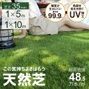 【6/26まで★10%OFFクーポン発行】人工芝 ロール 1m×10m 芝丈35mm 高密度48.5万本/m2 芝生マット 人工芝生 人工芝マット 人工芝ロール...