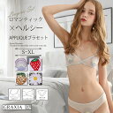 下着 レディース ブラ ショーツ 上下セット シルエット ノンパッド 華やか 色気 大胆