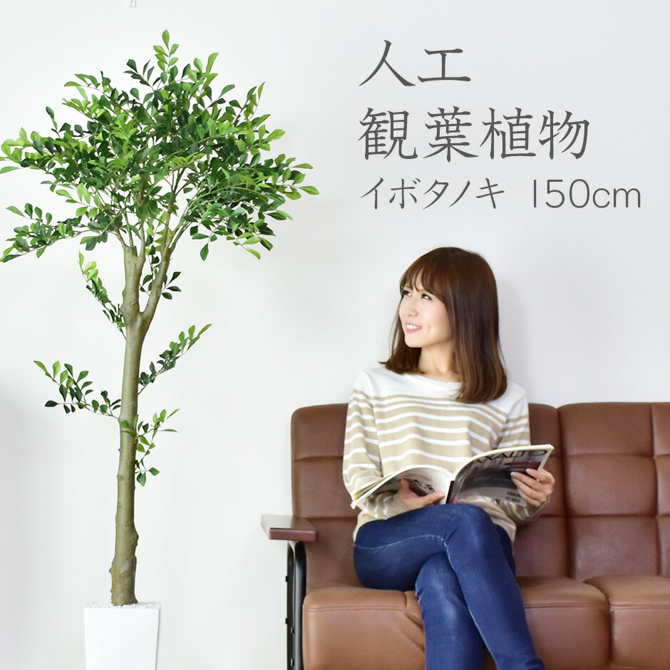 【15％OFFクーポン★5/23 20時~5/24 24時】 人工観葉植物 フェイクグリーン 観葉植物 イボタノキ インテリアグリーン 造花 光触媒 5号 鉢 水やり不要 インテリア お祝い 誕生日 結婚 父 母 お祝い お礼 贈り物 プレゼント イボタノキ150cm