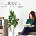 【★10％OFFクーポン★5/3 0時~5/6 24時】 人工観葉植物 光触媒 オリーブフルーツ125cm 水やり不要 高さ125 インテリアグリーン 観葉植物 造花オリーブフルーツ125cm 送料無料