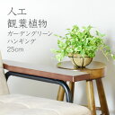 【15％OFFクーポン 5/1 0時-24時】 人工観葉植物 光触媒 ガーデングリーン・ハンギング25cm 水やり不要 高さ25 インテリアグリーン 観葉植物 造花ガーデングリーン・ハンギング25cm 送料無料