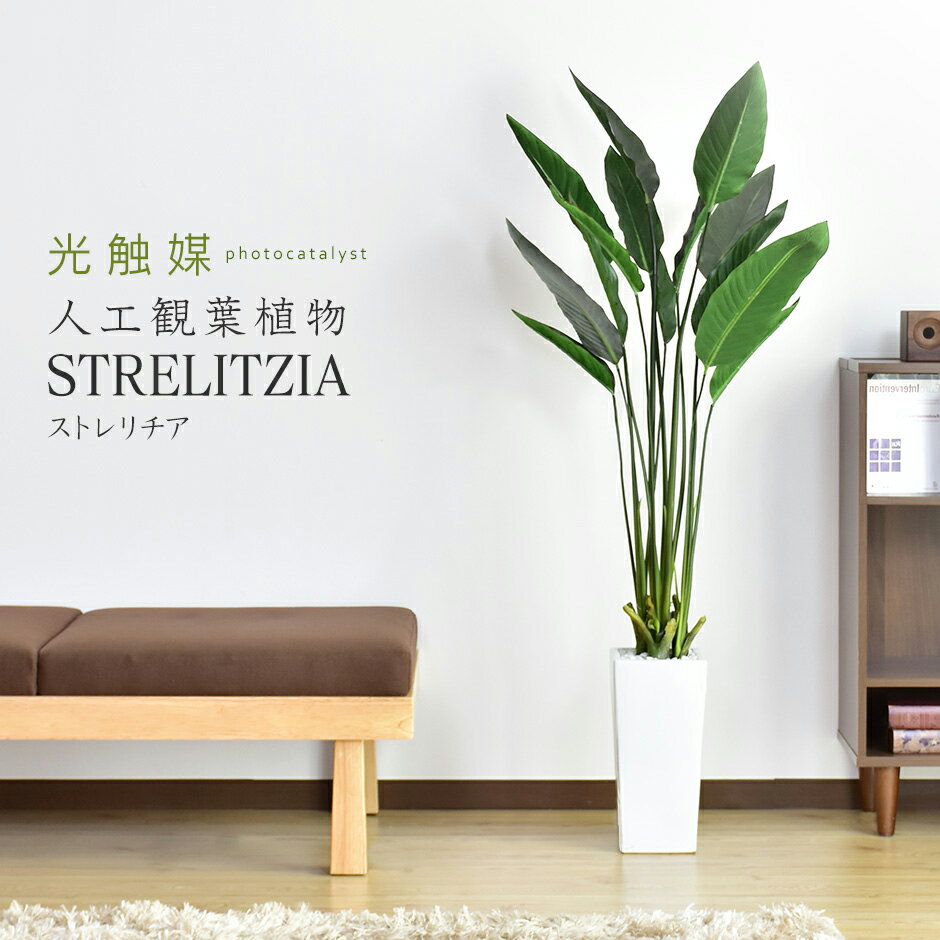 【15％OFFクーポン★5/23 20時~5/24 24時】 人工観葉植物 光触媒 ストレリチア140cm 水やり不要 高さ140 インテリアグリーン 観葉植物 造花ストレリチア 送料無料