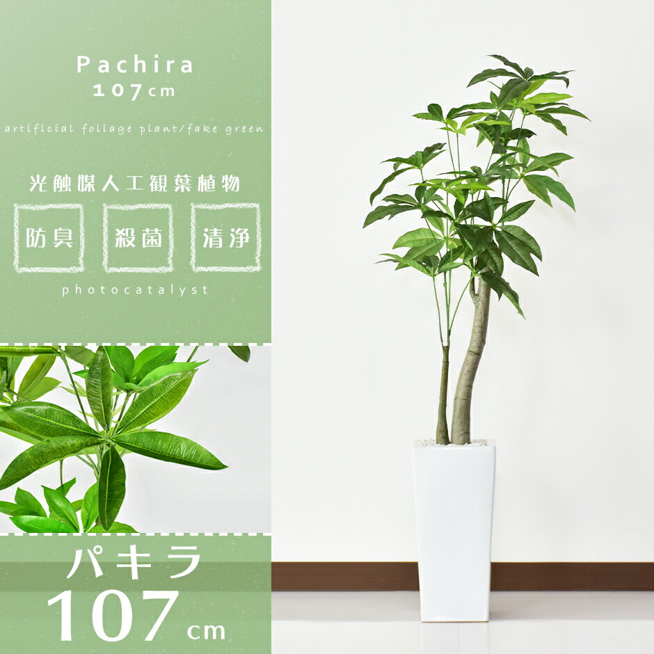 バキラ 【15％OFFクーポン 5/15 0時-24時】 人工観葉植物 フェイクグリーン 観葉植物 パキラ 造花 光触媒 鉢 水やり不要 インテリア お祝い 誕生日 出産内祝い お返し 結婚 父 母 男性 女性 彼氏 彼女 お祝い お礼 贈り物 プレゼント パキラM ドリス