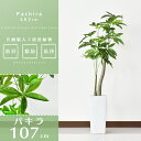 【★24H限定★15％OFFクーポン 5/10 0時~24時】 人工観葉植物 フェイクグリーン 観葉植物 パキラ 造花 光触媒 鉢 水やり不要 インテリア お祝い 誕生日 出産内祝い お返し 結婚 父 母 男性 女性 彼氏 彼女 お祝い お礼 贈り物 プレゼント パキラM ドリス