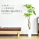 【15％OFFクーポン 4/25 0時～24時】 人工観葉植物 フェイクグリーン 観葉植物 パキラ 造花 光触媒 5号 鉢 水やり不要 インテリア お祝い 誕生日 出産内祝い お返し 結婚 父 母 男性 女性 彼氏 彼女 お祝い お礼 贈り物 プレゼント パキラL