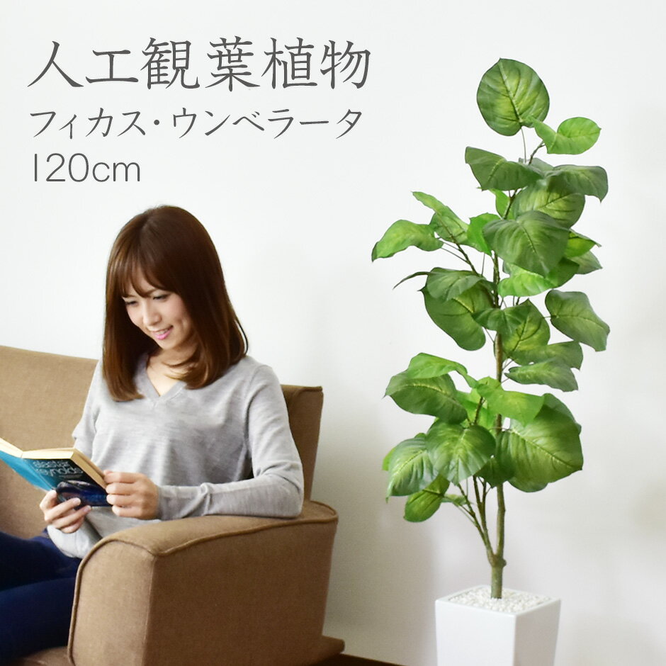 人工観葉植物 フェイクグリーン 観葉植物 フィカス ウンベラータ インテリアグリーン 造花 光触媒 5号 鉢 水やり不要 インテリア お祝い 結婚 父 母 お祝い お礼 贈り物 プレゼント フィカスウンベラータ