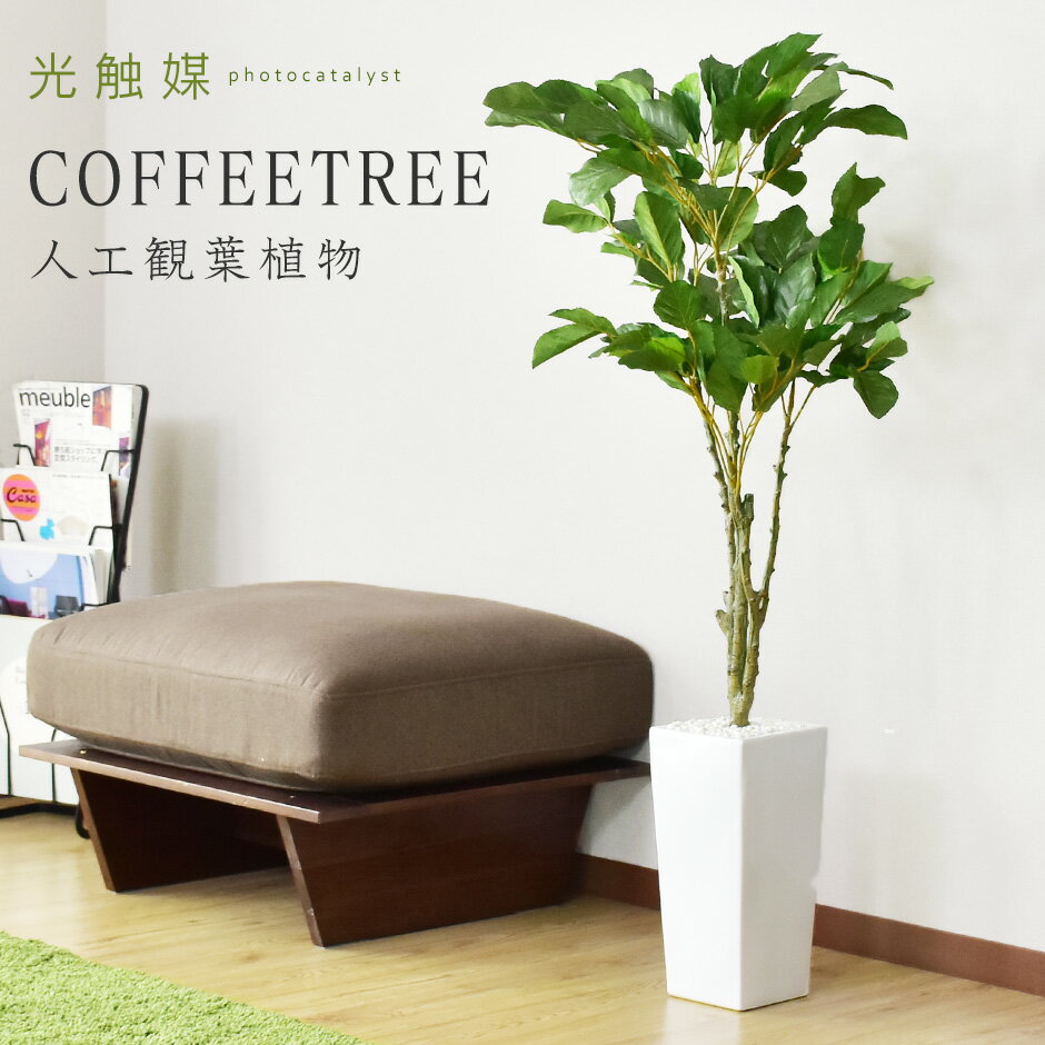  人工観葉植物 フェイクグリーン 観葉植物 コーヒーの木 インテリアグリーン 造花 光触媒 5号 鉢 水やり不要 インテリア おしゃれ お祝い 誕生日 結婚 父 母 お祝い お礼 贈り物 プレゼント コーヒーツリー