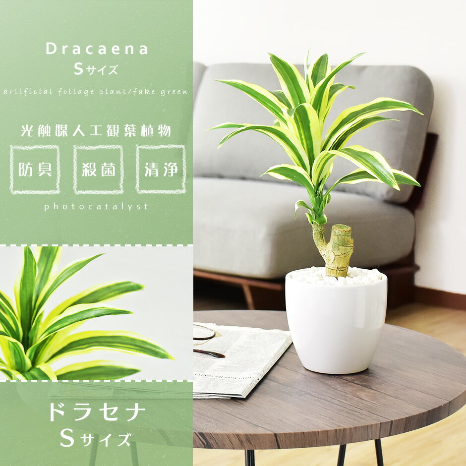 【15％OFFクーポン 5/15 0時-24時】 人工観葉植物 光触媒 ドラセナ 水やり不要 インテリアグリーン 観葉植物 造花ドラセナS 送料無料 2