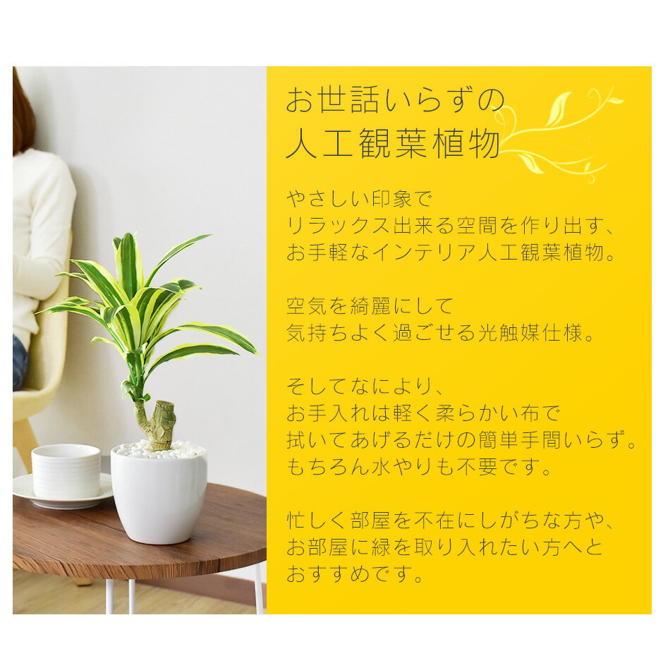 【15％OFFクーポン 5/15 0時-24時】 人工観葉植物 光触媒 ドラセナ 水やり不要 インテリアグリーン 観葉植物 造花ドラセナS 送料無料 3