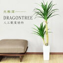 【★10％OFFクーポン★5/3 0時~5/6 24時】 人工観葉植物 フェイクグリーン 観葉植物 ドラゴンツリー 造花 光触媒 5号 鉢 水やり不要 インテリア おしゃれ お祝い 誕生日 結婚 父 母 お祝い お礼 贈り物 プレゼント ドラゴンツリー