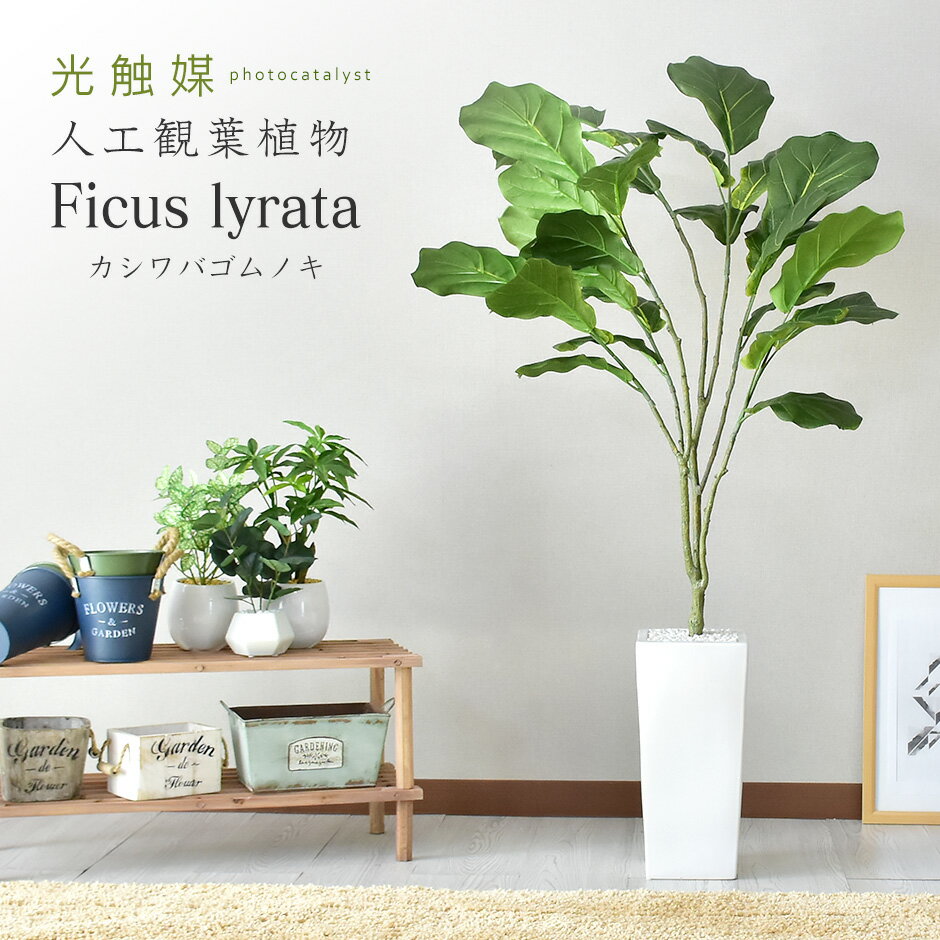 人工観葉植物 フェイクグリーン 観