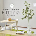 【15％OFFクーポン 5/1 0時-24時】 人工観葉植物 光触媒 フィットニア（ガラス鉢） 水やり不要 インテリアグリーン 観葉植物 造花フィットニア（ガラス鉢）送料無料