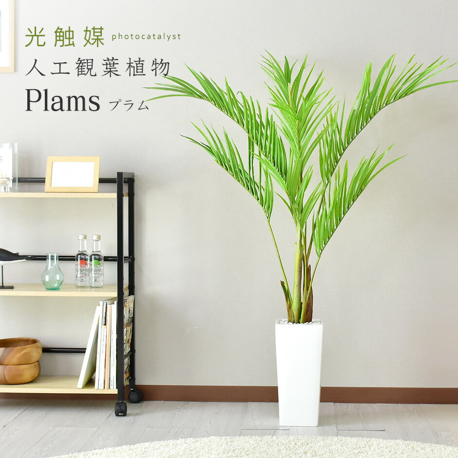 【★2日間限定★15％OFFクーポン 5/15 0時~5/16 24時】 人工観葉植物 フェイクグリーン 観葉植物 プラム 造花 光触媒 5号 鉢 水やり不要 インテリア お祝い 誕生日 出産内祝い お返し 結婚 父 母 男性 女性 彼氏 彼女 お祝い お礼 贈り物 プレゼント プラム