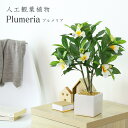 【15％OFFクーポン 5/1 0時-24時】 観葉植物 人工観葉植物 水やり不要 インテリアグリーン フェイクグリーン プルメリア 送料無料