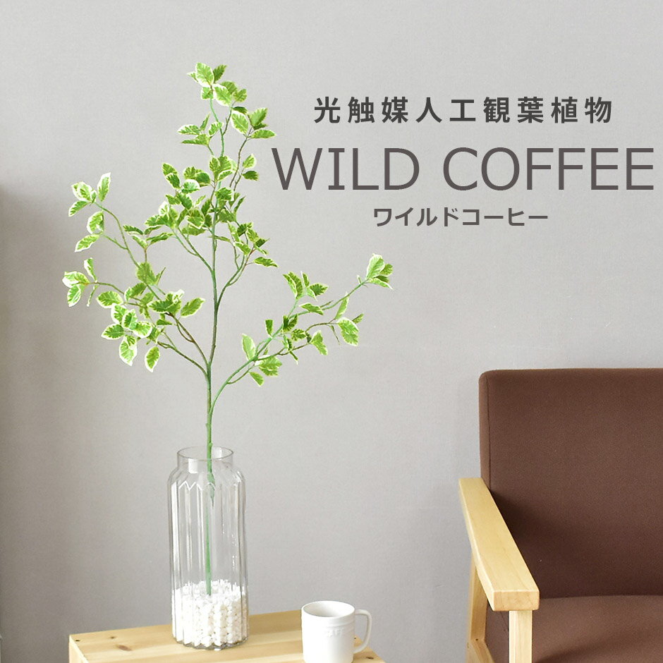 【クーポン10%off 9/11 12時-9/12 24時】人工観葉植物 光触媒 ワイルドコーヒー（ガラス鉢） 水やり不要 インテリアグリーン 観葉植物 造花ワイルドコーヒー（ガラス鉢） 送料無料