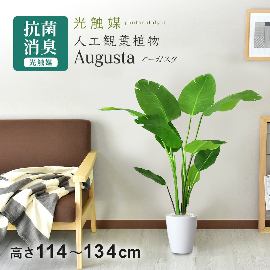 【クーポン20%off 1/15 00時〜26時】 人工観葉植物 お手入れ不要 完成品 かんたん設置 フェイクグリーン フェイクプラント 室内用 鉢付き 置くだけ 観葉植物 造花 光触媒 5号 鉢 水やり不要 インテリア おしゃれ お祝い 誕生日 お返し コンパクト スリム オーガスタ