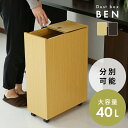 ゴミ箱 40リットル 分別可能 キャスター付き スリム 隠す収納 おしゃれ 縦型 キッチン 収納 蓋つき スライド開閉 分別 キャスター付き ダストボックス ご...