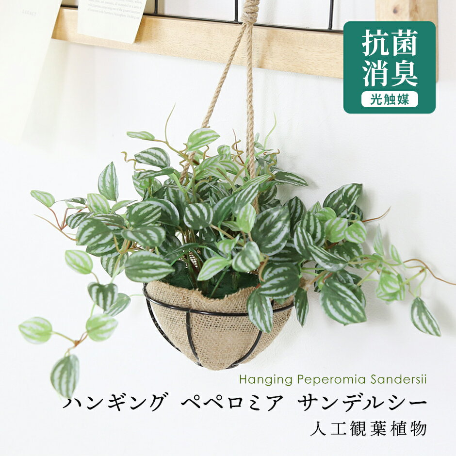 【10％OFFクーポン★5/18 0時～5/19 24時】 人工観葉植物 光触媒 ガーデングリーン ハンギング 水やり不要 高さ25 インテリアグリーン 観葉植物 造花 防臭 殺菌 抗菌 洗浄 ひっかけ紐付き 吊り飾り ペペロミア サンデルシー43cm 送料無料