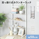 壁面収納 幅50cm つっぱり 突っ張り パーテーション 棚 パーテーションラック 突っ張り棚 薄型 スリム ラダーラック ウォールシェルフ 壁面 収納棚 収納ラック 間仕切り スペパ デッドスペース リボル50cm ドリス