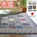 ラグマット おしゃれ 北欧 洗える 200×250 日本製 抗菌防臭 手洗い 抗菌 防臭 モケット織 長方形 オールシーズン カーペット ラグ 絨毯 ペルシャ絨...