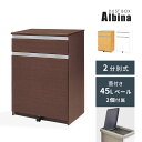 ゴミ箱 分別 蓋つき 45L 45リットル ダストボックス 幅64.5 奥行46 高さ88 アルビナII2分別