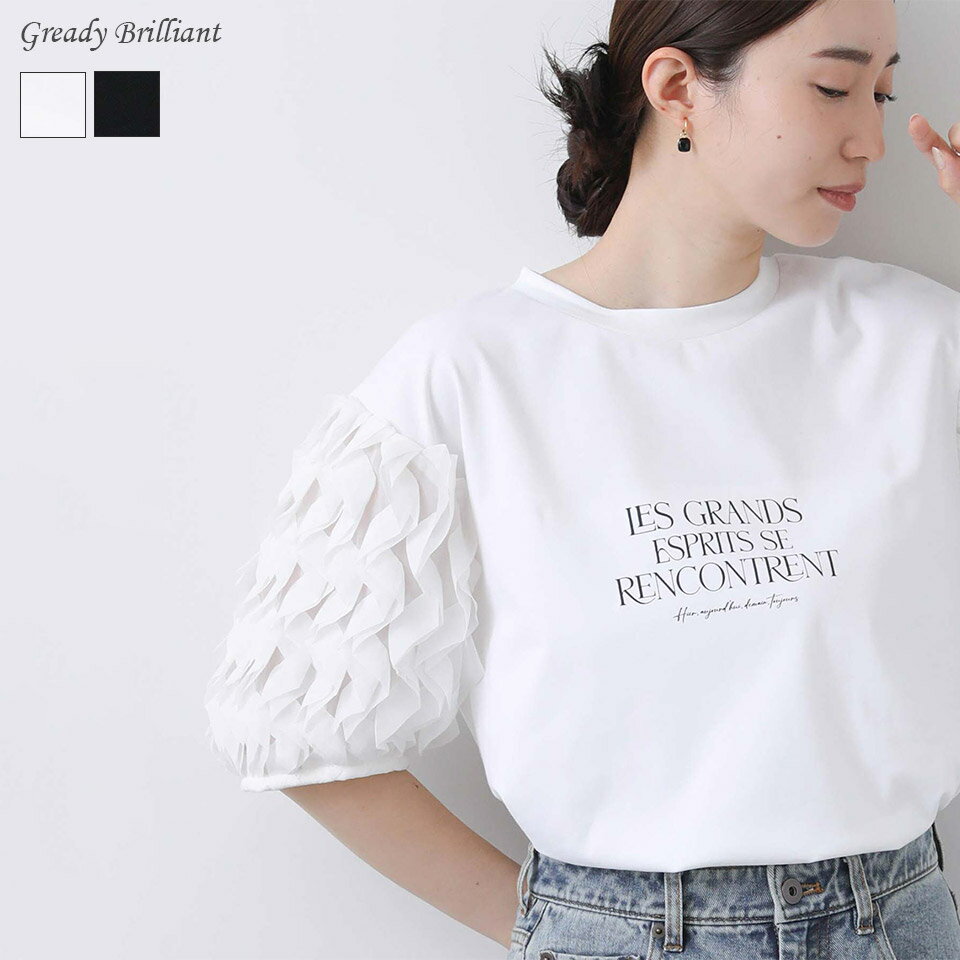 【《4時間限定》 最大20％OFFクーポン配布中 & ポイント最大20倍キャンペーン 『 6/10(月) 20:00～23:59 』】【SALE 20%OFF】＜さらに10％OFF＞袖3DレースロゴTシャツのサムネイル