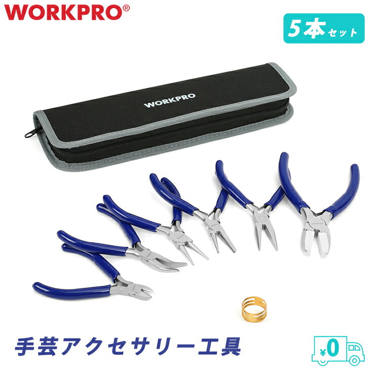 WORKPRO 送料無料 アクセサリーパーツ 工具セット 6PCS アクセサリーパーツセット ペンチセット 手芸 ペンチ 6点 平ペンチ 丸やっとこ ニッパー 手作り アクセサリー ビーズ 製作 クラフト ハンドメイド DIY 道具 自動開き ケース付 DIY 初心者 手作り ピアス