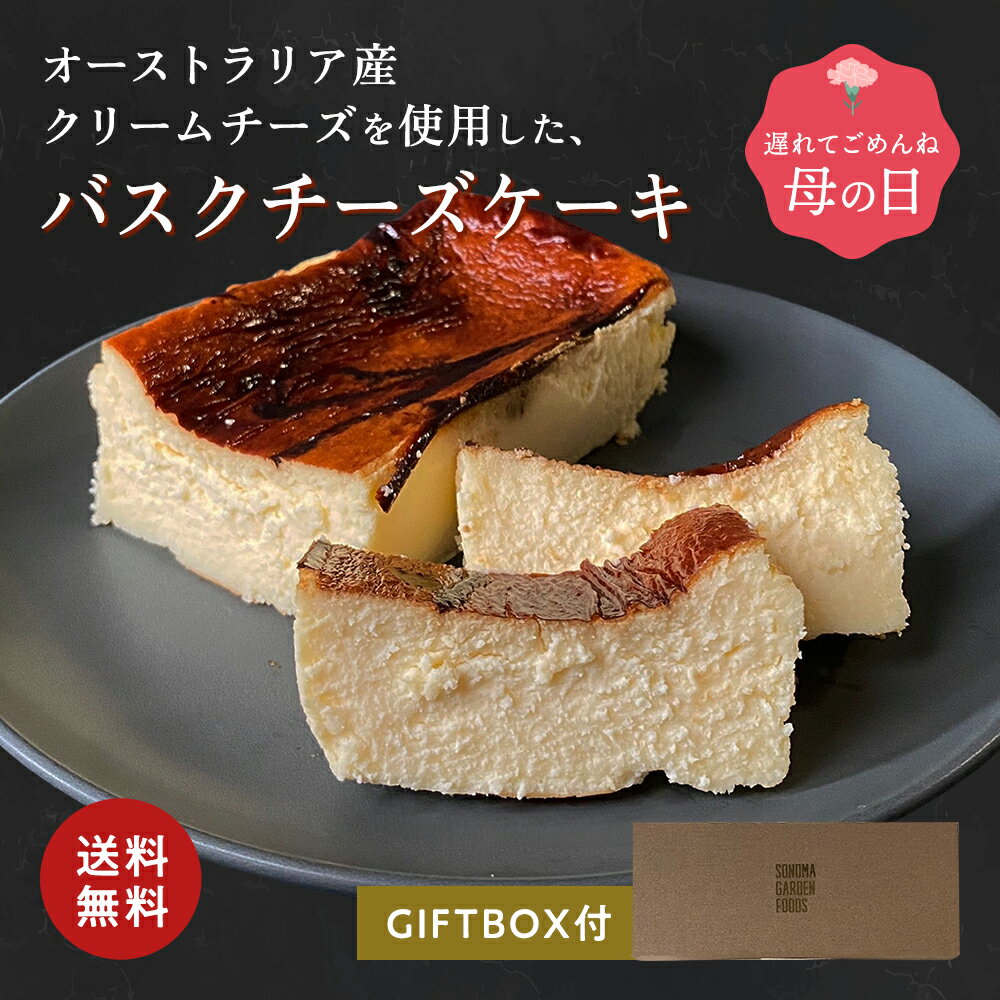 母の日 遅れてごめんね バスクチーズケーキ プレーン[約393g] 冷凍 チーズケーキ 冷凍便 送料無料 誕生日 人気 お礼 ギフト プレゼント 3000円 2000円 お取り寄せ 洋菓子 内祝い お返し お礼 濃厚 贈り物 お菓子 定番 スイーツ ケーキ ギフト箱 熨斗