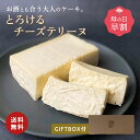 ＼【母の日 早割】クーポンで3,501円／ テリーヌ チーズ